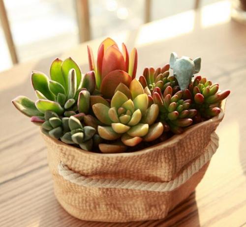 й½ϳƫ ȫůorȫ䣿