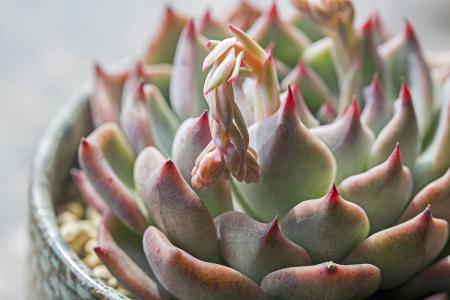 й½ϳƫ ȫůorȫ䣿